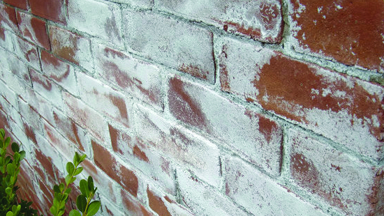 5 علت اصلی برای شوره زدگی در بین انواع آجر نسوز